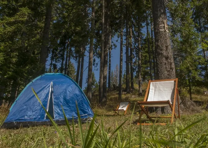 Life Family Pamporovo