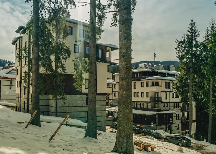 Life Family Pamporovo